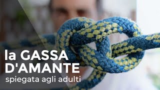 la GASSA DAMANTE spiegata agli adulti Tutorial nodi nautici [upl. by Najar]