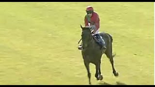 Horse Racing Death 199  Bronson FSure at Wetherby Racecourse [upl. by Arahc]