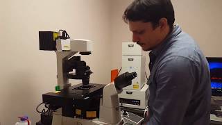 Confocal Microscopy Tutorial Part 1 Getting Started  Basic Operation [upl. by Jezrdna444]