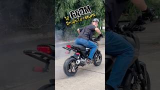 รถใหม่อะไรก็ดี grom grom125 honda stuntriding wheelie ยกล้อ เกรียนใหม่ [upl. by Yrelav]