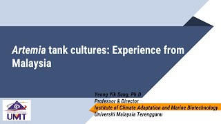 Artemia tank cultures experience from Malaysia [upl. by Ynaffyt834]