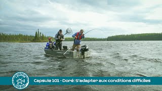 Capsule 101  Doré sadapter aux conditions difficiles [upl. by Inaffets]