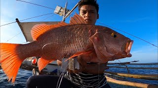 Traditional longline fishing in Palawan  Catch and Sell [upl. by Alvan]