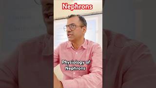 Physiology of Nephrons nursingcompetition biology nursingeducationmedico [upl. by Hermon732]