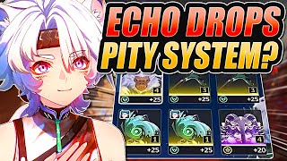 Echo Farming GUARANTEE SYSTEM Optimize Your Echoes NOW  WUTHERING WAVES [upl. by Kepner]