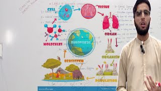 Biology  Levels of Organisation Cells Tissues Organs and Organ Systems hashir acadmey pashto [upl. by Naraa110]