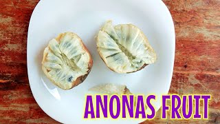 Anonas Fruit or Custard Apple [upl. by Bennet]