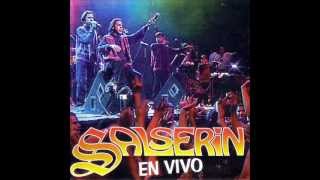 VOLVERÉ  SALSERÍN EN VIVO [upl. by Adle367]