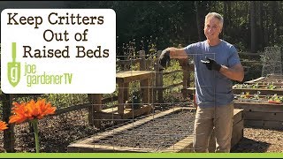 How to Keep Critters Out of Your Raised Bed Garden [upl. by Dnivra]