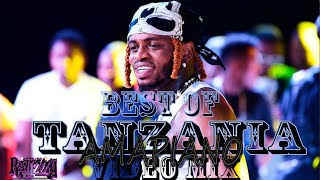 🇹🇿BEST OF TANZANIA AMAPIANO VIDEO MIX 2024 FT DIAMONDRAYVANNYMARIOOZUCHUHARMONIZEALIKIBA [upl. by Aldo]