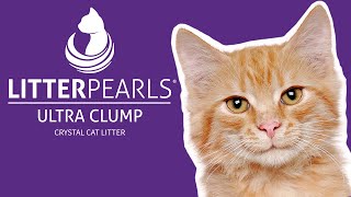 LITTER PEARLS Ultra Clump Crystal Cat Litter [upl. by Adolph709]