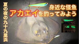 九十九里浜の釣り 身近な怪魚 アカエイを釣ってみよう [upl. by Anigar956]