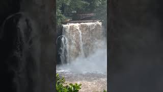 Chania Falls Thika Kenya🇰🇪 fall waterfall adventure nature travelvlog video [upl. by Leirda]