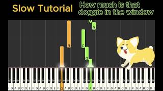 Slow piano tutorial easy  How much is that doggy in the window [upl. by Alam]