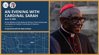 An Evening with Cardinal Sarah [upl. by Anaiviv]