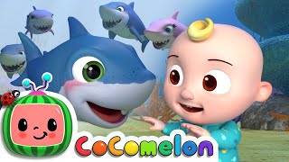 Baby Shark  ‪CoComelon‬ Nursery Rhymes amp Kids Songs [upl. by Lustig]