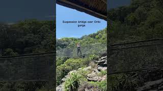 Oribi gorge suspension bridge southafrica [upl. by Jennine]