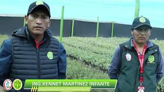 Proyecto Forestal Fajardo promueve el cultivo de plantaciones forestales [upl. by Hgieliak]