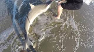 Shark Fishing The Beach [upl. by Anceline]