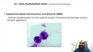 Genotoxicity and mutagenicity testing III Part 8 [upl. by Nefen431]