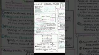 Homeostasis PHYSIOLOGY and anatomy homeostasis medical 20 [upl. by Beatriz]