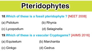 Pteridophytes mcq  Most Important for NEET Biology mcq [upl. by Levey706]