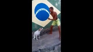 ASOMBROSO Perro Bailando Samba En Brasil Wao  Amazing Dog Dancing In Brazil  Argenis Fels [upl. by Bascio]