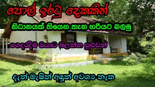 පොල් ඉරටු කෑලි දෙකකින් නිධානයක් තියෙන තැන හරියටම බලමු gihan productions 🇱🇰 nidan [upl. by Airel]