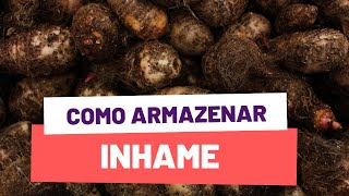 Como armazenar inhame [upl. by Ybrad]