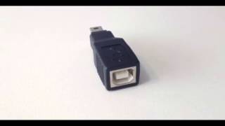 ctadusb10 USB B Female to Mini 5Pin Male Adapter wwwcabletechca [upl. by Ardiek292]