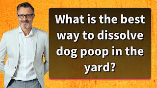 What is the best way to dissolve dog poop in the yard [upl. by Rubbico121]