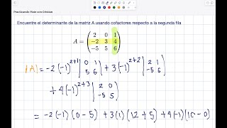 Determinante usando cofactores [upl. by Adnamahs]