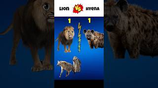 😡 Lion Vs Hyena❓shorts lion hyena [upl. by Lledal23]