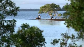 Visit SMBI  The Southern Moreton Bay Islands [upl. by Marden]