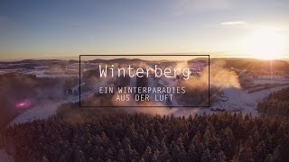 Skiliftkarussell Winterberg  Sauerland  Skigebiet Luftaufnahmen  Drohne  Stock Footage [upl. by Kalie206]