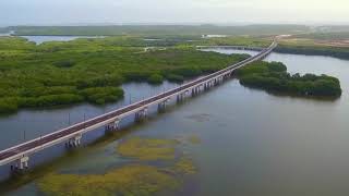 Viaducto del Gran Manglar [upl. by Nudd]