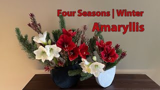 Floral Design for Four Seasons  Winter Amaryllis [upl. by Atinas328]