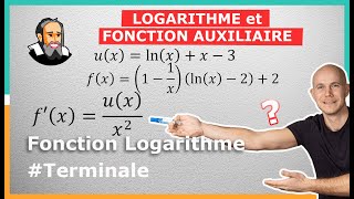 lnx et FONCTION AUXILIAIRE  Exercice Corrigé  Terminale [upl. by Marucci563]