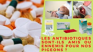 Les antibiotiques sontils amis ou ennemis pour nos pigeons [upl. by Wit]