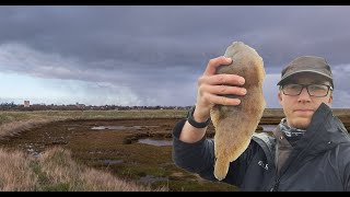 Fishing a Suffolk River  Sole amp Dogfish catch amp cook [upl. by Aldrich]