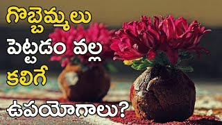 గొబ్బెమ్మలు పెట్టడం వల్ల కలిగే ఉపయోగాలు  Importance And Benefits Of Gobbemmalu [upl. by Needan109]