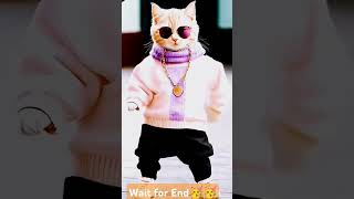 Cats Amazing😸 AIKidz CatDance ⭐Cats boli babu catshorts cutecats catsworld [upl. by Olivie]