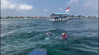 snorkeling tjg benoa bali [upl. by Artap]