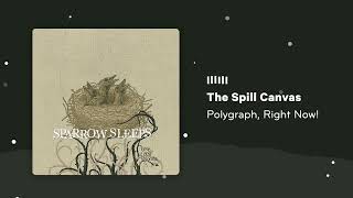 The Spill Canvas  Polygraph Right Now Lullaby cover by Sparrow Sleeps [upl. by Zaccaria389]