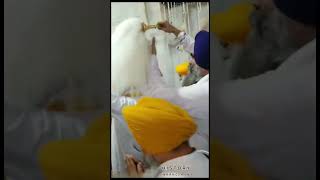 sangrand amritsar livesriharmindersahib ludhiana todaylivefromshridarbarsahib [upl. by Manouch]