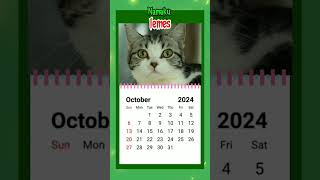 Kalender bulan Oktober 2024 cover kucing [upl. by Frasquito849]