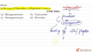 In life cycle of Plasmodium exflagellation is seen in [upl. by Eilerua]