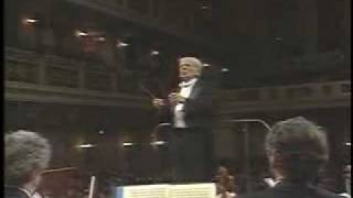 Beethoven 9ª Sinfonía  Bernstein 1989 34  Subtitulando [upl. by Walrath164]