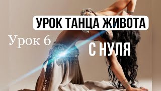 УРОК ВОСТОЧНОГО ТАНЦА ДЛЯ НАЧИНАЮЩИХ  МЕЖАНСЕ НАЧИНАЮЩИЕ  BELLYDANCE [upl. by Rawde51]