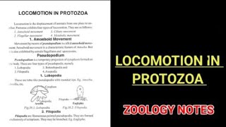 LOCOMOTION IN PROTOZOABSC 1st year zoology zoology zoologynotes vbu bbmku mu [upl. by Yauq]